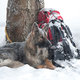 Illustration for article titled How To Survive An Avalanche From This Dramatic Video Of A Buried Skier